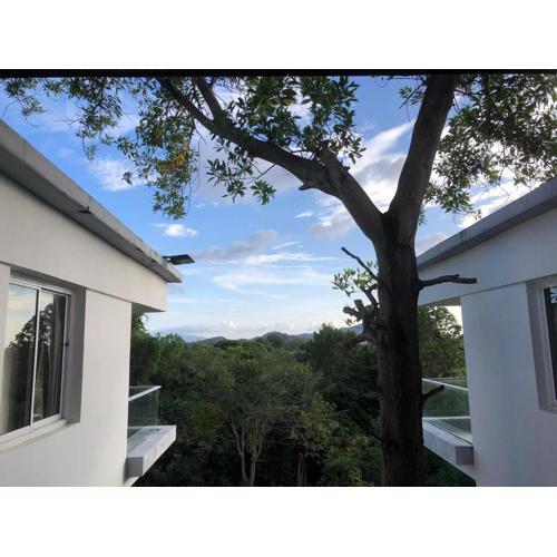 The Big Blue Chaweng