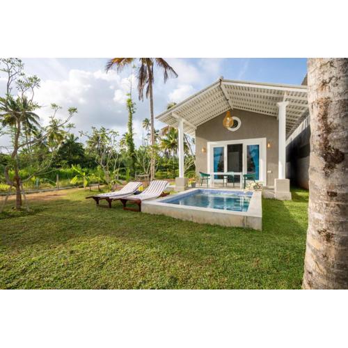 The black monkey villa