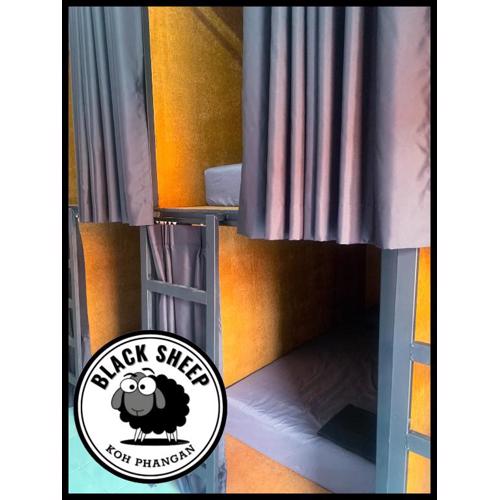 The Black Sheep Hostel