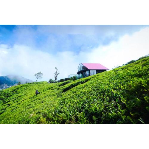 The Blackberry Cottage