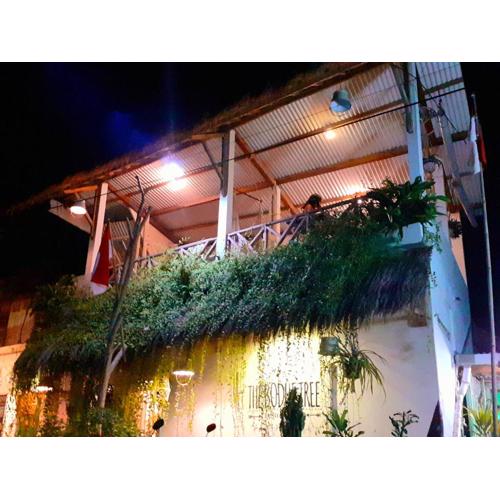 The Bodhi Tree Karimunjawa