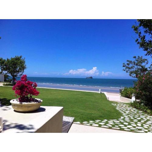 The Chelona by Mayuree