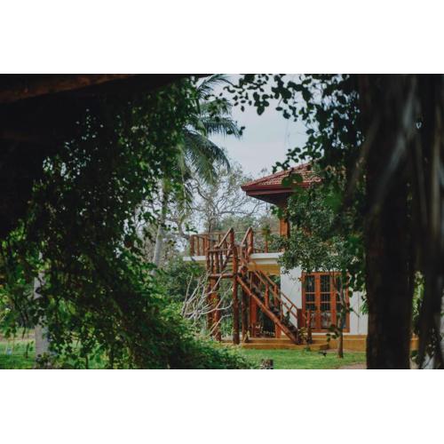 The Coconut Experience Eco Lodge Wilpattu