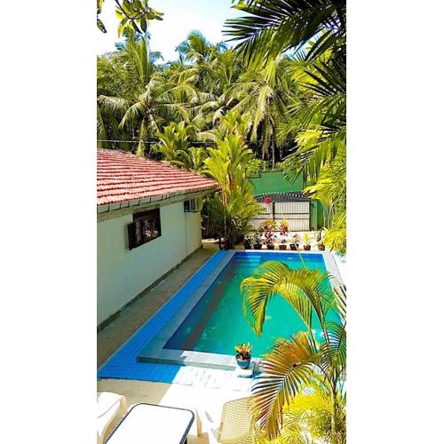 The Comfortable Coconut House