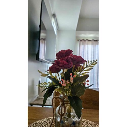 The Cozy Urban Studio