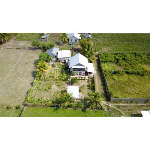 The Daun Puntik HomeStay