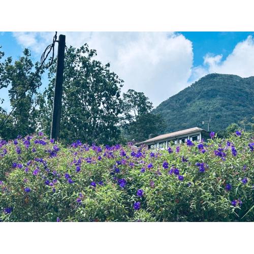 The Dee's at sinharaja