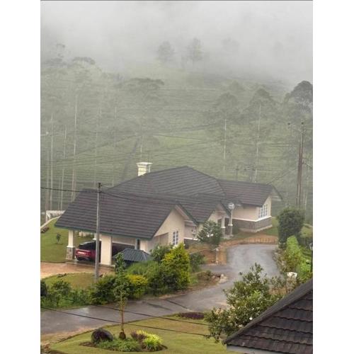 The Eight at Willows