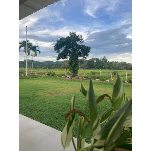 The Eliana Farm Resort and Villas