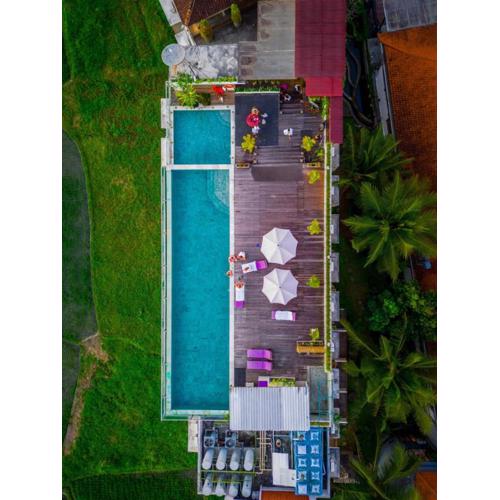 The Evitel Resort Ubud