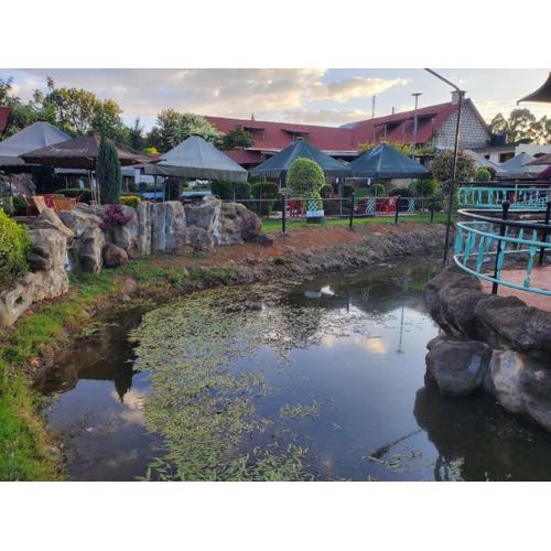 The falls hippo point