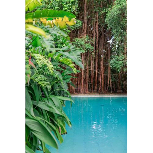 The Fern Cove Villa - Colombo