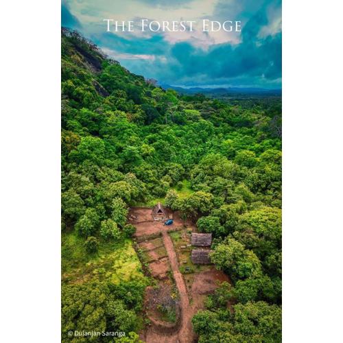 The Forest Edge Resort