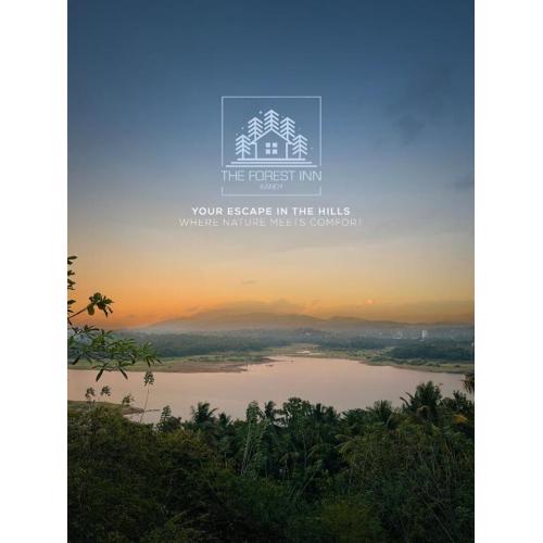 The Forest Inn Kandy