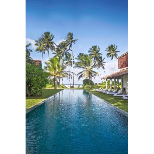 The Frangipani Tree by Edwards Collection