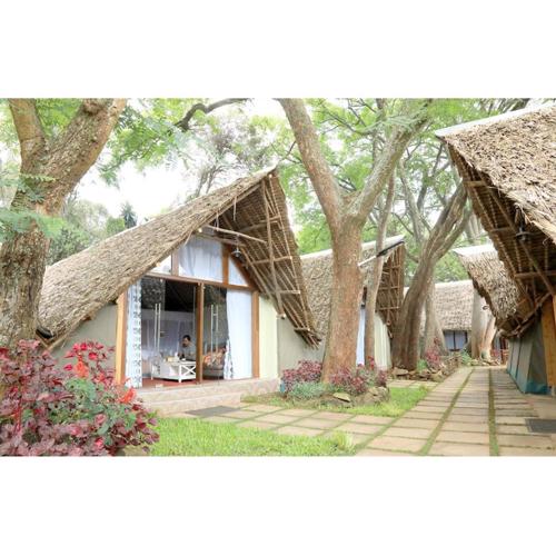 The Giraffe Cottages