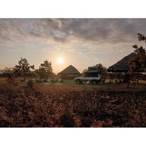 The Grassland Campsite