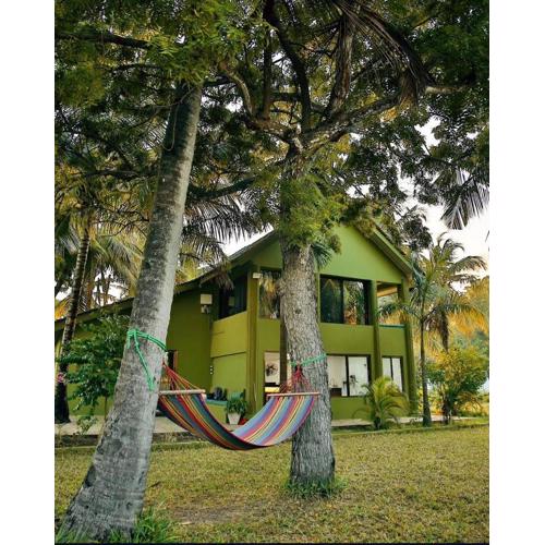 The Green - Where Nature Meets Comfort