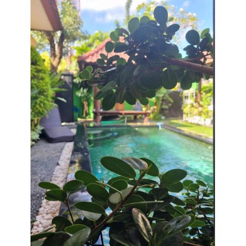 The Green Harmony Villa Homestay