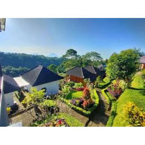 The Green Ponci Bedugul