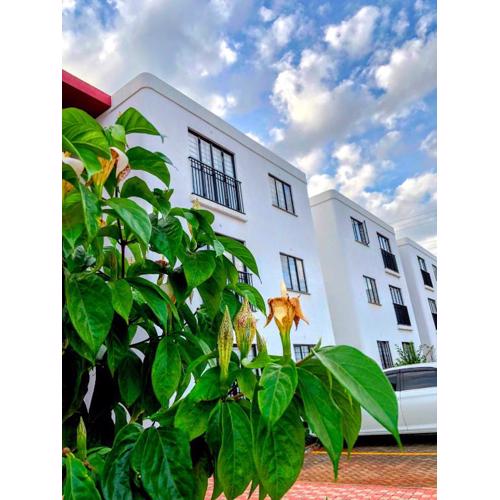 The House Beautiful, Tatu City