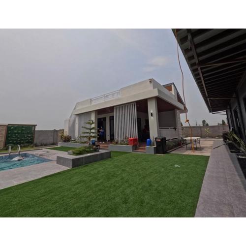 The House of Monkeys