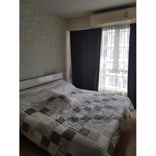 The Idol Bangsaen 206