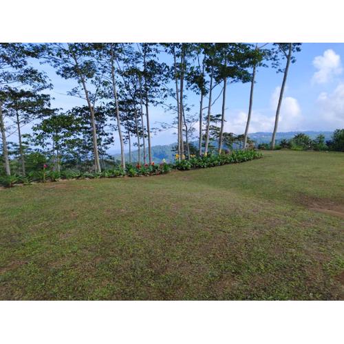 The joglo sekar munduk