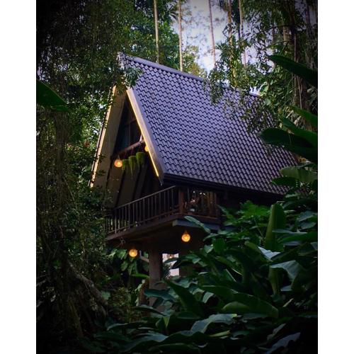 THE JUNGLE CABIN ella
