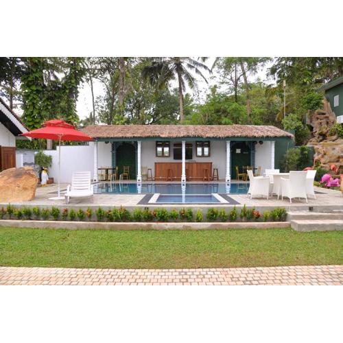 The Jungle Dream World