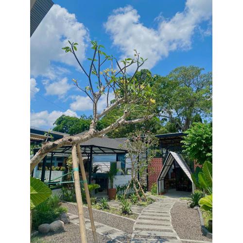 The Jungle Hostel Canggu