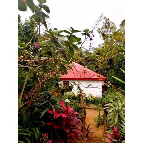 The Jungle Life Homestay Thangamalay Sanctuary Haputale by Gisela Sivam