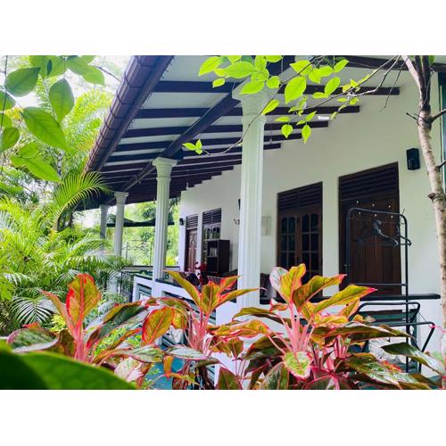 The Jungle Path Lodge