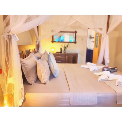 The Jungle View Garden