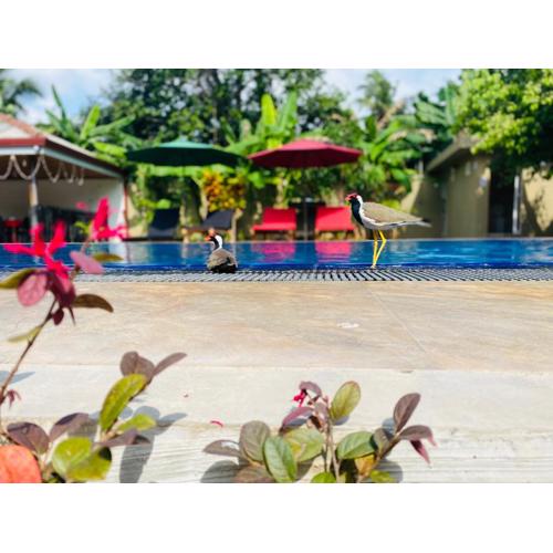 The Kingslayer Resort