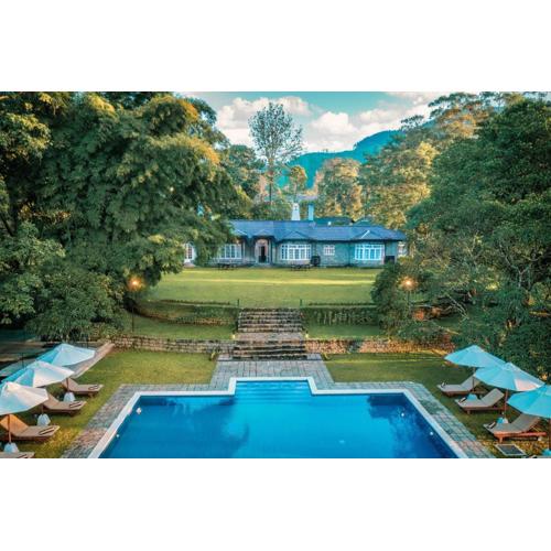 The Lavender House by Reveal