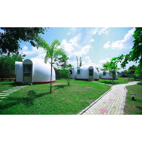 The Lion Kingdom Sigiriya