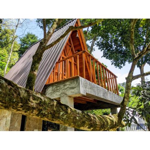 The Los t paradise - Rambukewela