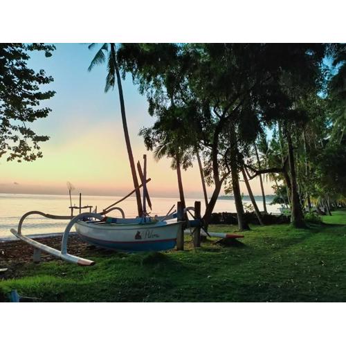 The Lumbung Tejakula