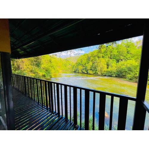 The Magical Tree House