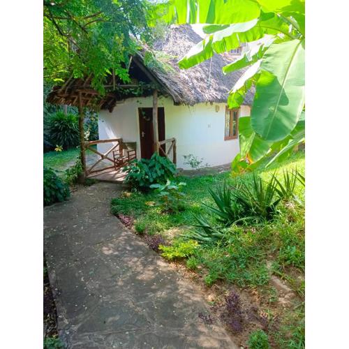 The Makuti breeze house