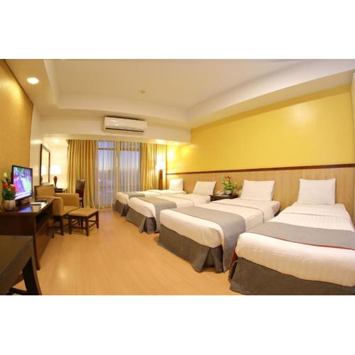 The Malayan Plaza Hotel