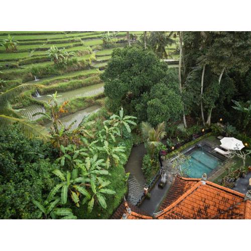 The Miracle House by GenuineHost