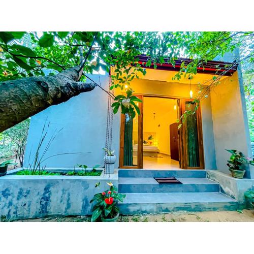 The Mirror Wall Sigiriya