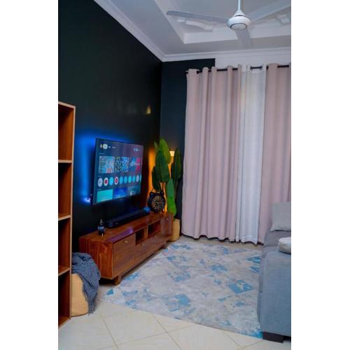 The Modern Nest - Alexa, Wi-Fi