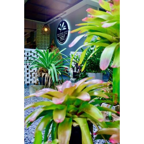 The Nature House Aonang Krabi Thailand