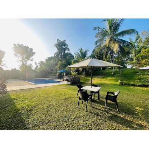 The Nature Palace Villa