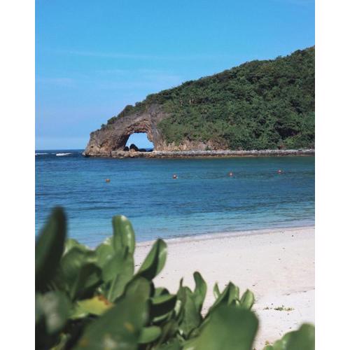 The Nest in Oceanway Boracay