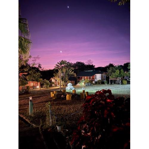 The Nest, Pai Love Resort