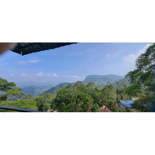 THE " ONEX PARADISE " ELLA